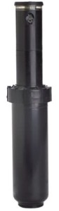 Platinium_sport_plastic.jpg